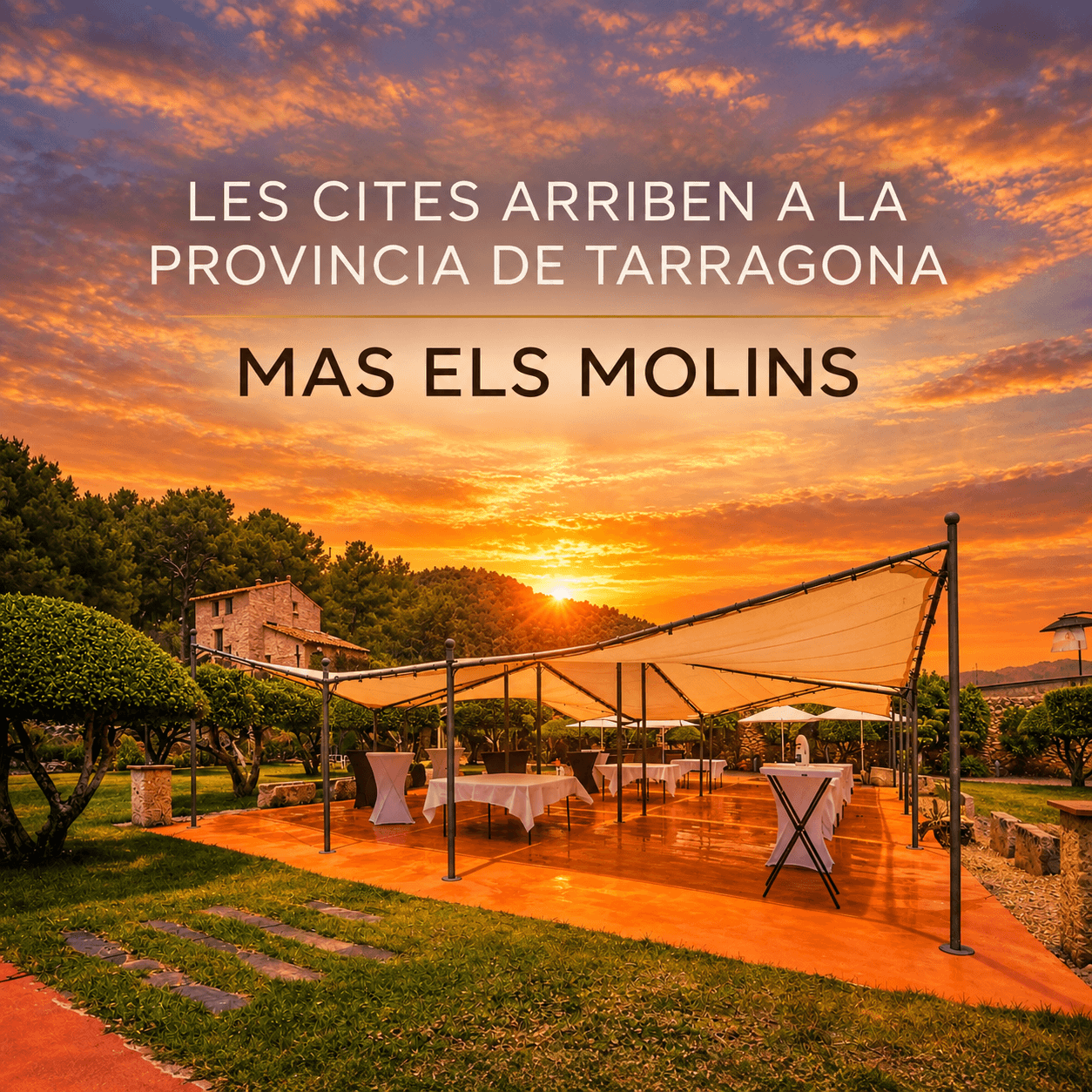 Cites Premium Catalunya